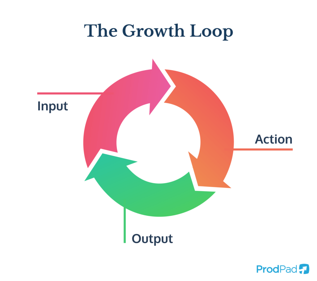 Diagram of the growth loop