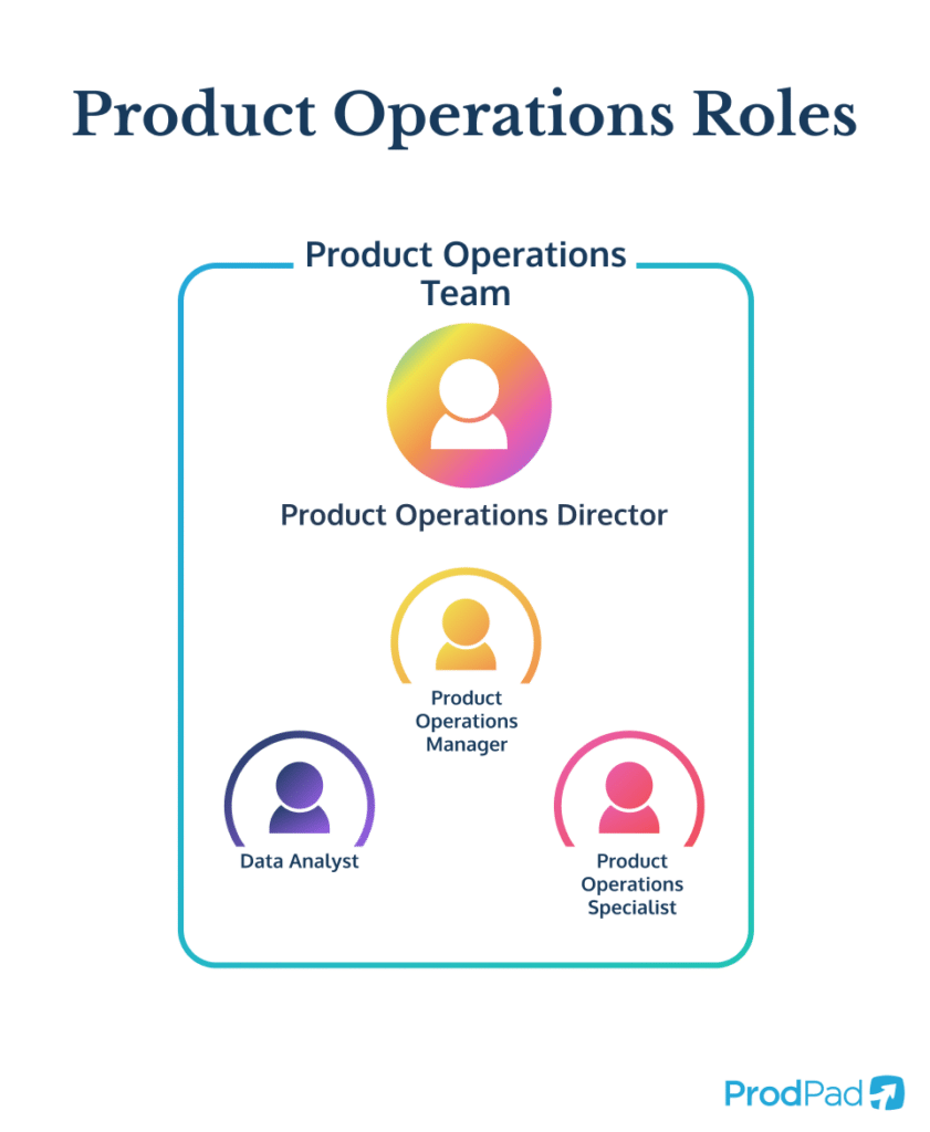 Product Operations Team Structure, including Product Operations Director over the Product Operations Manager, Data Analyst, and Product Operations Specialist